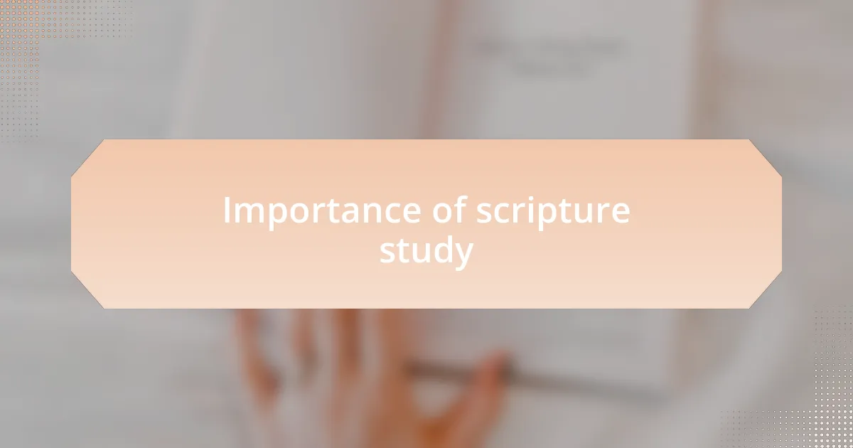 Importance of scripture study